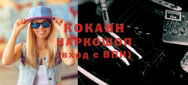 spice Богородицк