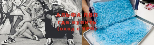 spice Богородицк
